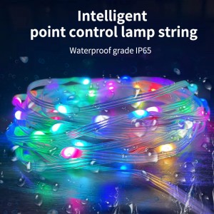 Outdoor Christmas string lights—PRIVATE MOLD