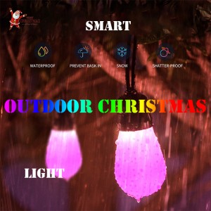 Outdoor Christmas lights—PRIVATE MOLD